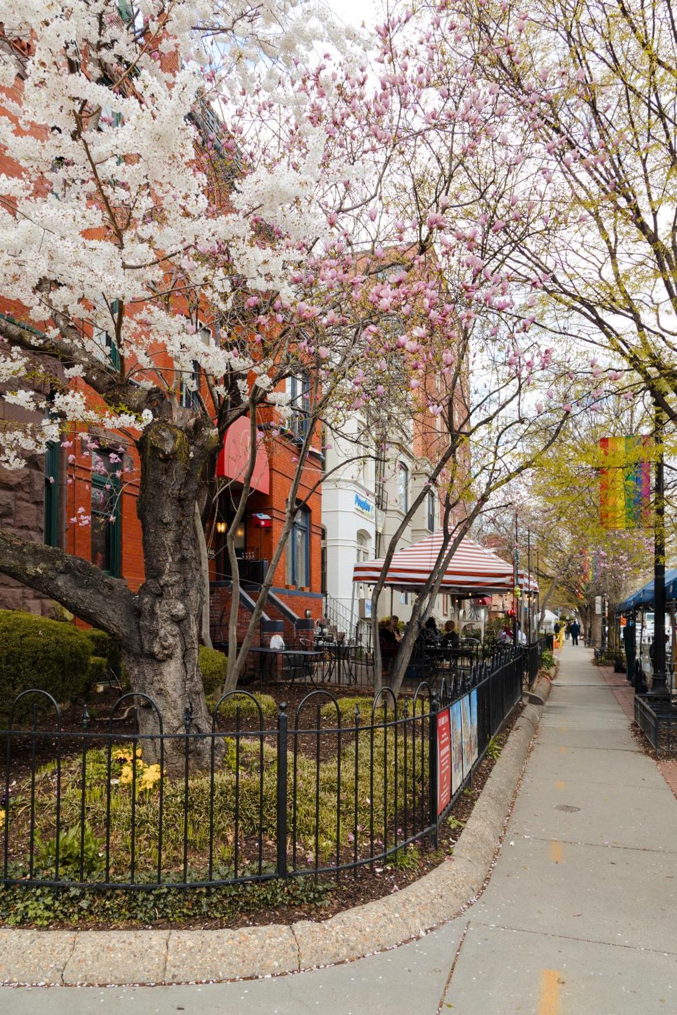 Dupont Circle Embassy Inn By Found Washington Luaran gambar